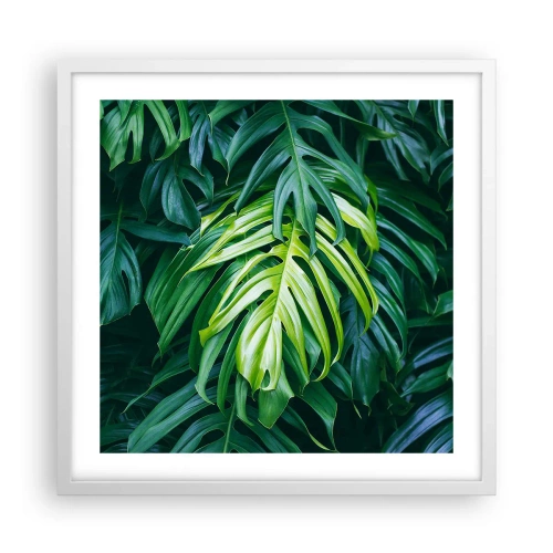 Poster in cornice bianca - Immergersi nella freschezza - 50x50 cm