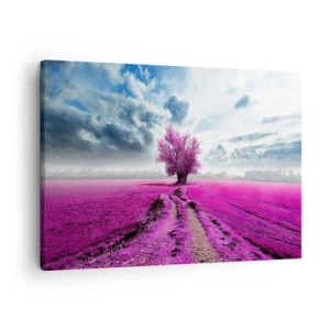 Quadro su tela - Stampe su Tela - Un albero solitario in un campo in una tonalità di rosa intenso - 70x50cm - Brughiera selvatica - Decorazione murale moderna per soggiorno e camera da letto ARTTOR
