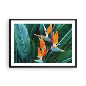 Poster in cornice nera - Fiori esotici di strelitzia circondati da foglie verdi - 70x50cm - È un fiore o un uccello? - Decorazione murale moderna per soggiorno e camera da letto ARTTOR