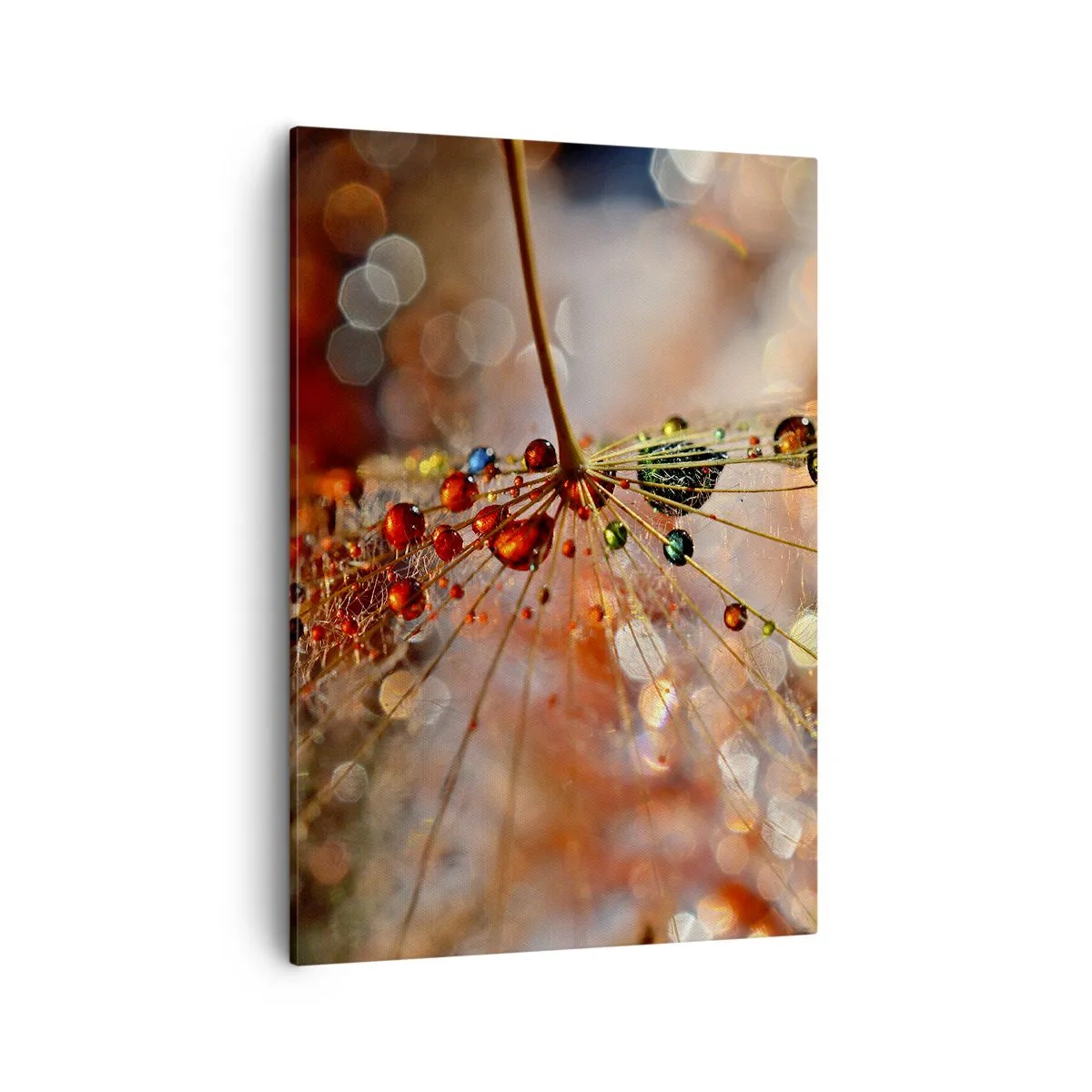 Quadro su tela - Stampe su Tela - Macrofotografia di una goccia d'acqua su una pianta delicata - 50x70cm - Posate sulla ragnatela - Decorazione murale moderna per soggiorno e camera da letto ARTTOR