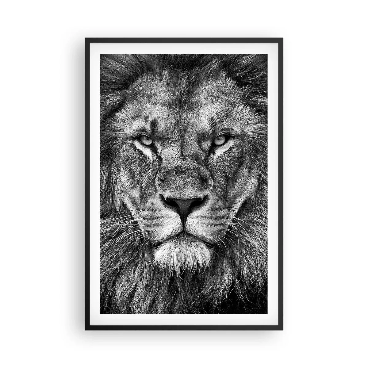 Poster in cornice nera - Nell'abito dell'incoronazione - 61x91 cm