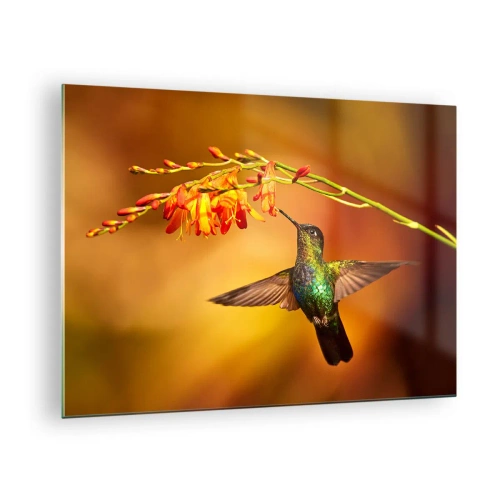 Quadro su vetro - Colibrì tra i fiori in un bagliore dorato - 70x50cm - Messaggero di luce secondo i Maya - Decorazione murale moderna per soggiorno e camera da letto ARTTOR