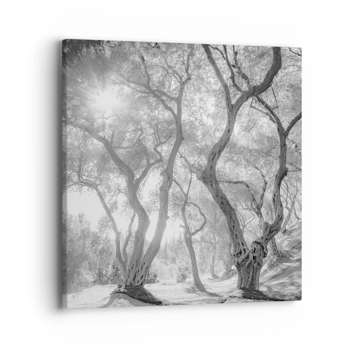 Quadro su tela - Stampe su Tela - Nell'orto degli ulivi - 40x40 cm