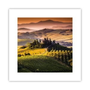 Poster - Arcadia: paesaggio toscano - 30x30 cm