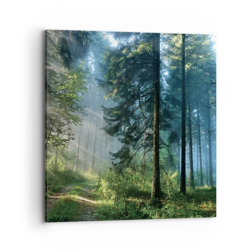 Quadro su tela - Stampe su Tela - Raggiante all'alba - 70x70 cm