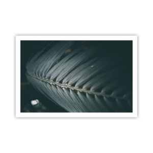 Poster - La precisione della natura - 91x61 cm