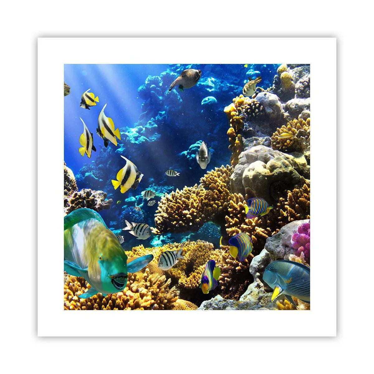 Poster - Traffico intenso sulla via delle vacanze - 40x40 cm