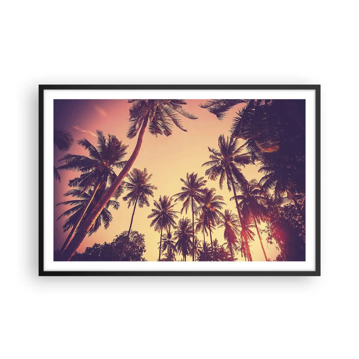 Poster in cornice nera - Composizione tropicale - 91x61 cm