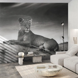 Fotomurale su misura Premium Sand - Il riposo della regina del deserto - Animali, Leone, Deserto