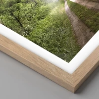 Rovere chiaro