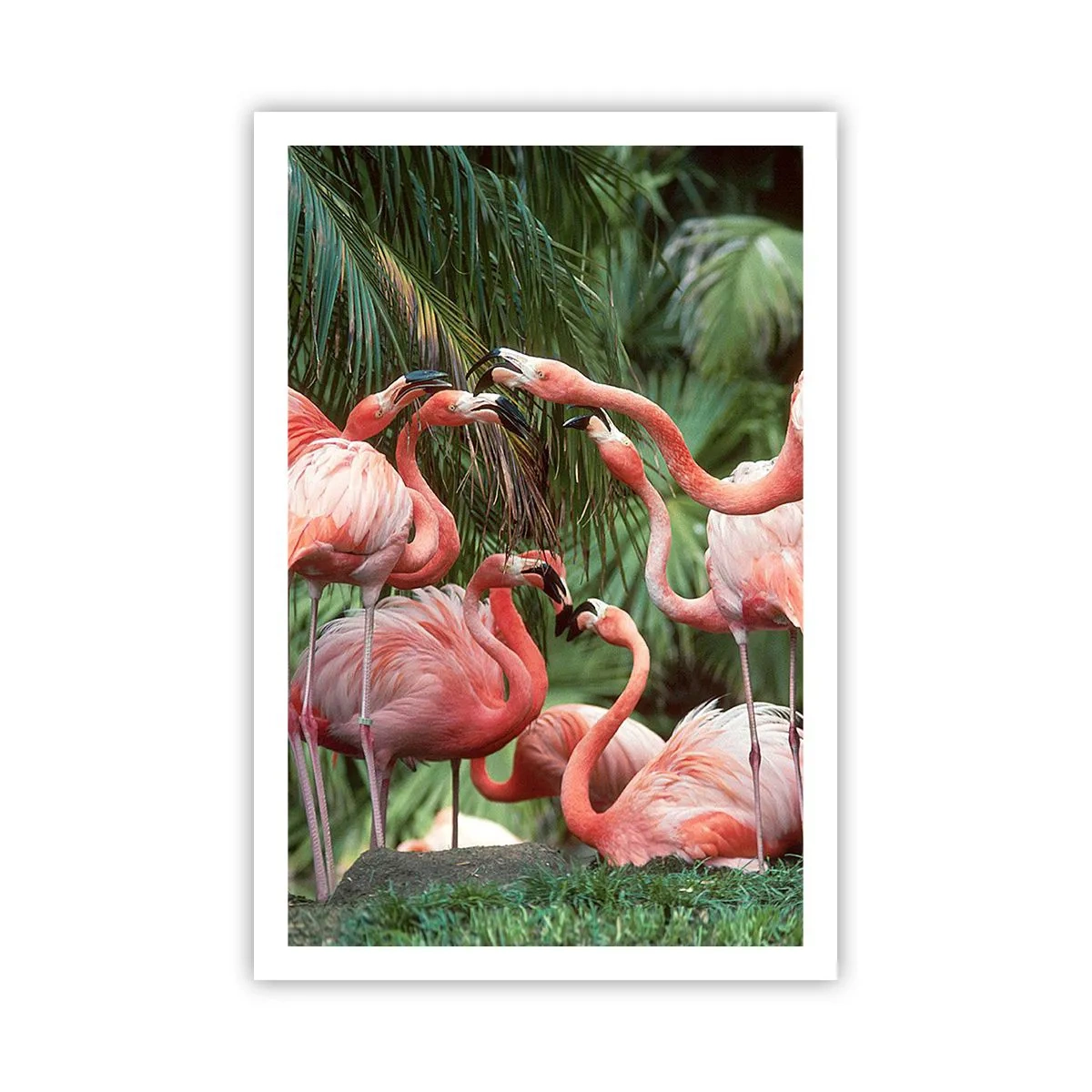 Poster - Pettegolezzi pomeridiani - 61x91 cm