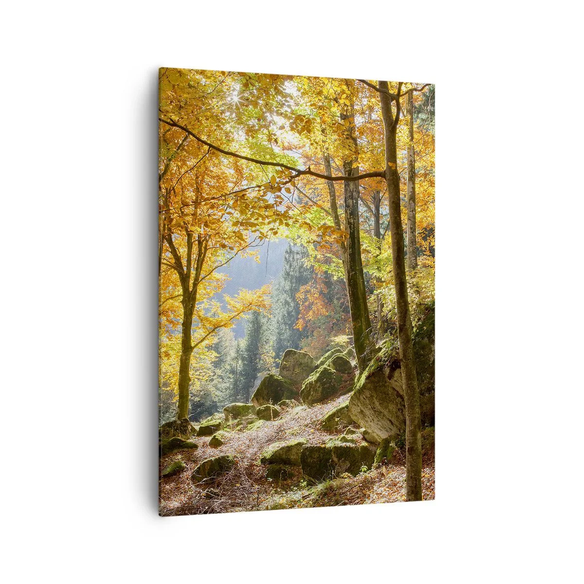 Quadro su tela - Stampe su Tela - Una foresta autunnale piena di foglie dorate e luce solare - 70x100cm - Il tempo del riposo - Decorazione murale moderna per soggiorno e camera da letto ARTTOR