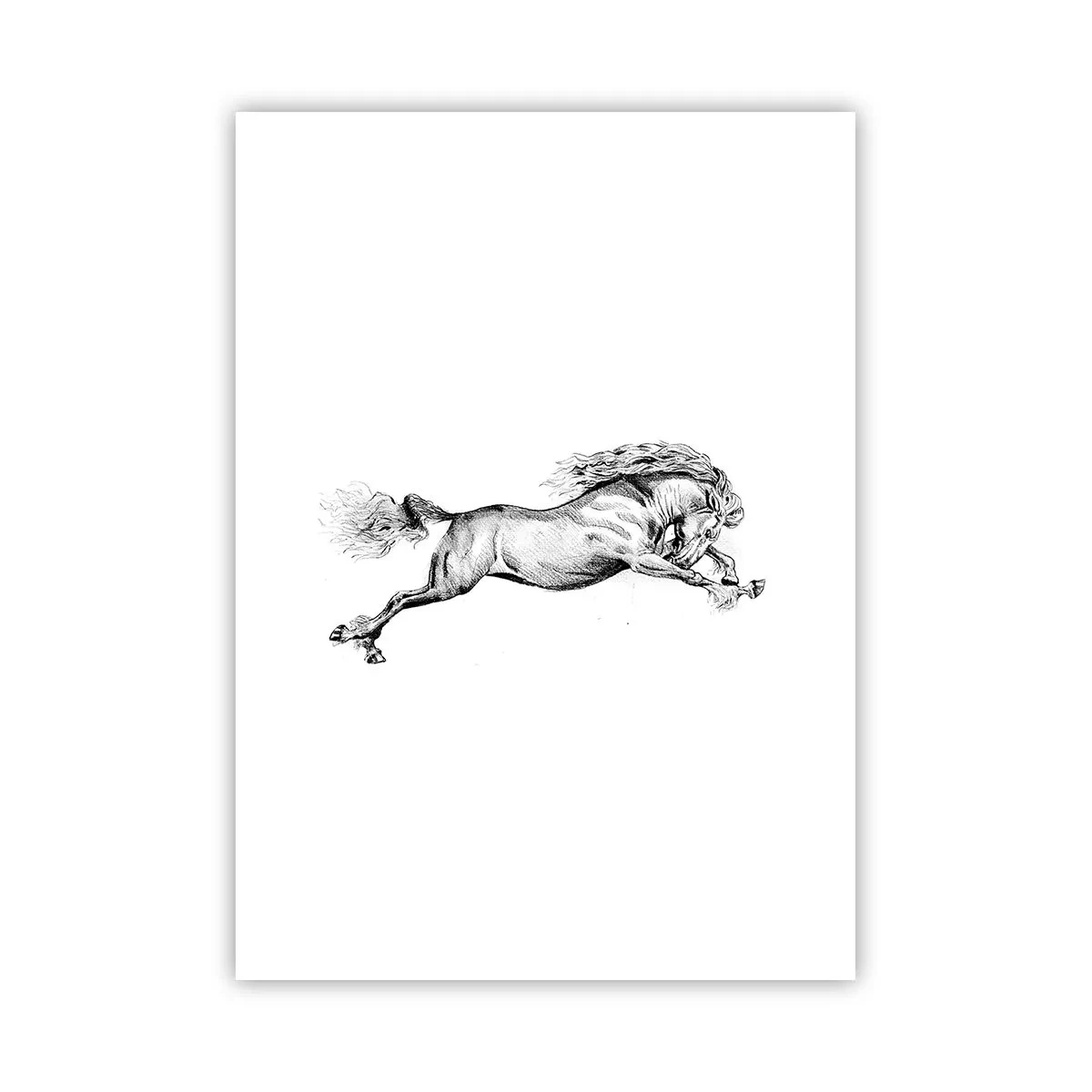 Poster - Illustrazione di un cavallo al galoppo in bianco e nero - 50x70cm - Fermo al galoppo - Decorazione murale moderna per soggiorno e camera da letto ARTTOR