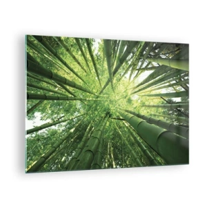 Quadro su vetro - Vista prospettica dall'alto della foresta di bambù - 70x50cm - Nella foresta di bambù - Decorazione murale moderna per soggiorno e camera da letto ARTTOR