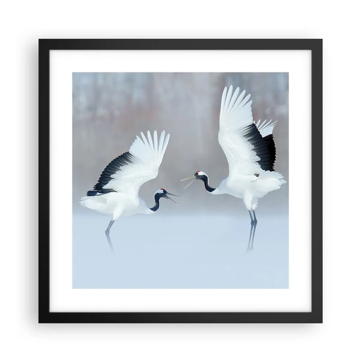 Poster in cornice nera - Danza nella nebbia - 40x40 cm