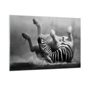 Quadro su vetro - Una zebra sdraiata nella savana africana - 120x80cm - Morire dal ridere - Decorazione murale moderna per soggiorno e camera da letto ARTTOR