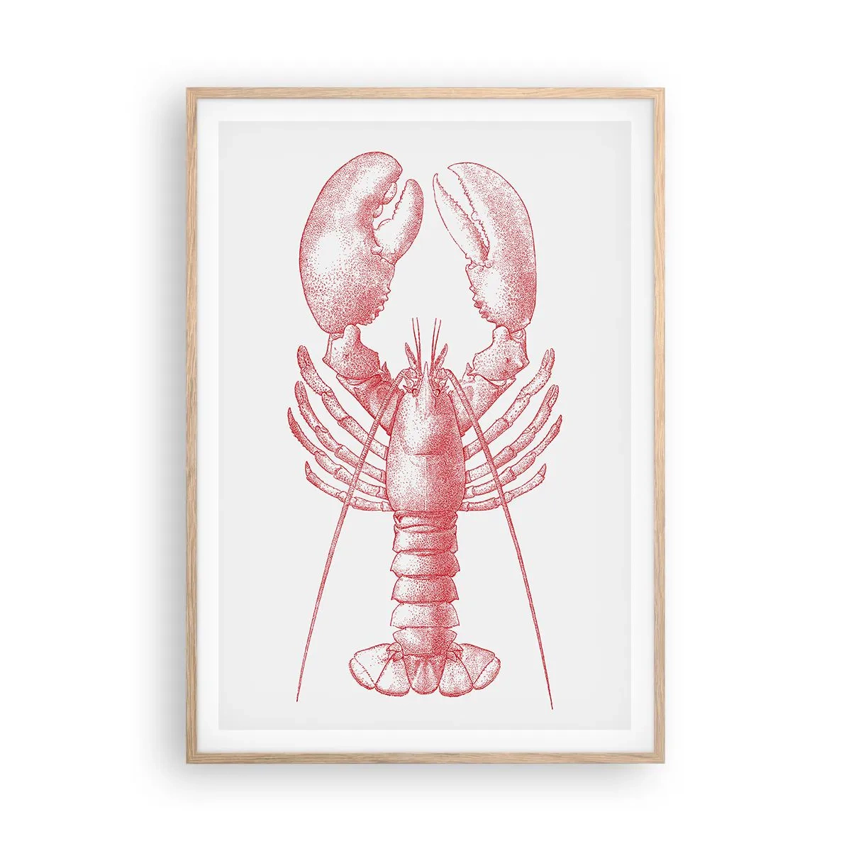 Poster in cornice rovere chiaro - Aragosta d'agosto - 70x100 cm