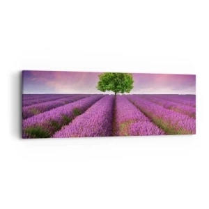 Quadro su tela - Stampe su Tela - Sui campi di lavanda - 90x30 cm