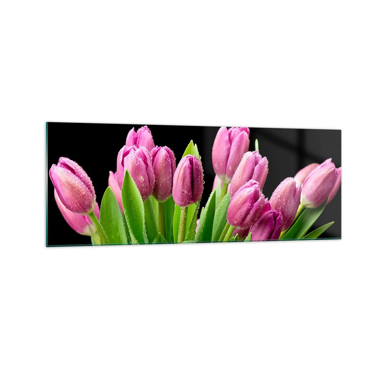 Quadro su vetro - Tulipani rosa con gocce di rugiada su sfondo nero - 140x50cm - Gioia lilla della primavera - Decorazione murale moderna per soggiorno e camera da letto ARTTOR