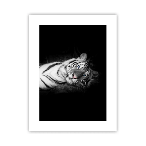 Poster - Selvaggità e pace - 30x40 cm