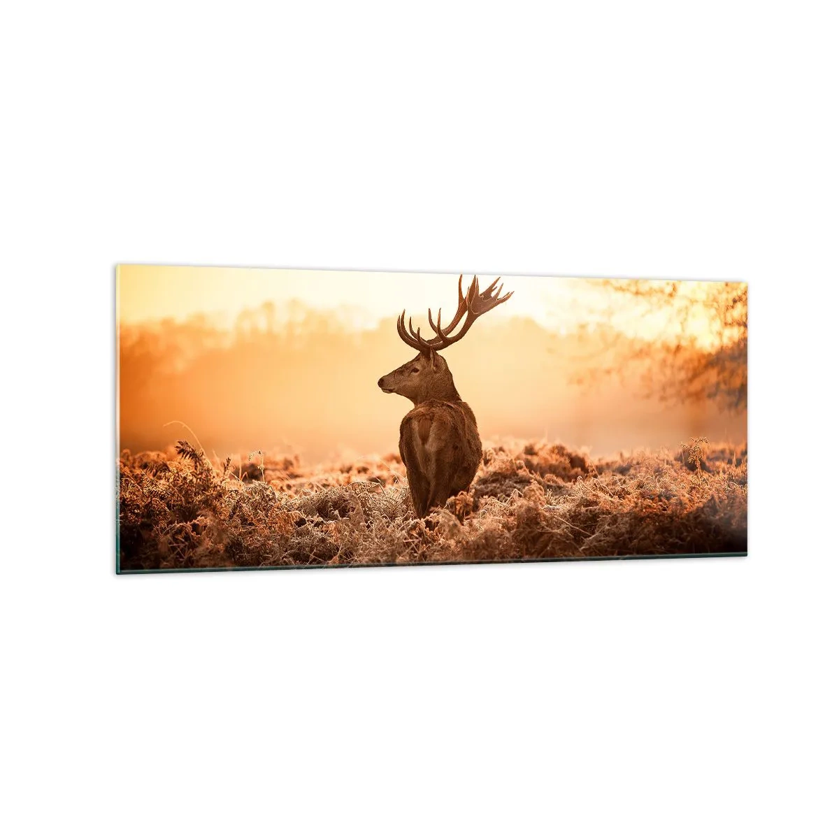 Quadro su vetro - Cervo nei raggi del sole nascente - 120x50cm - Il signore sulle sue terre - Decorazione murale moderna per soggiorno e camera da letto ARTTOR