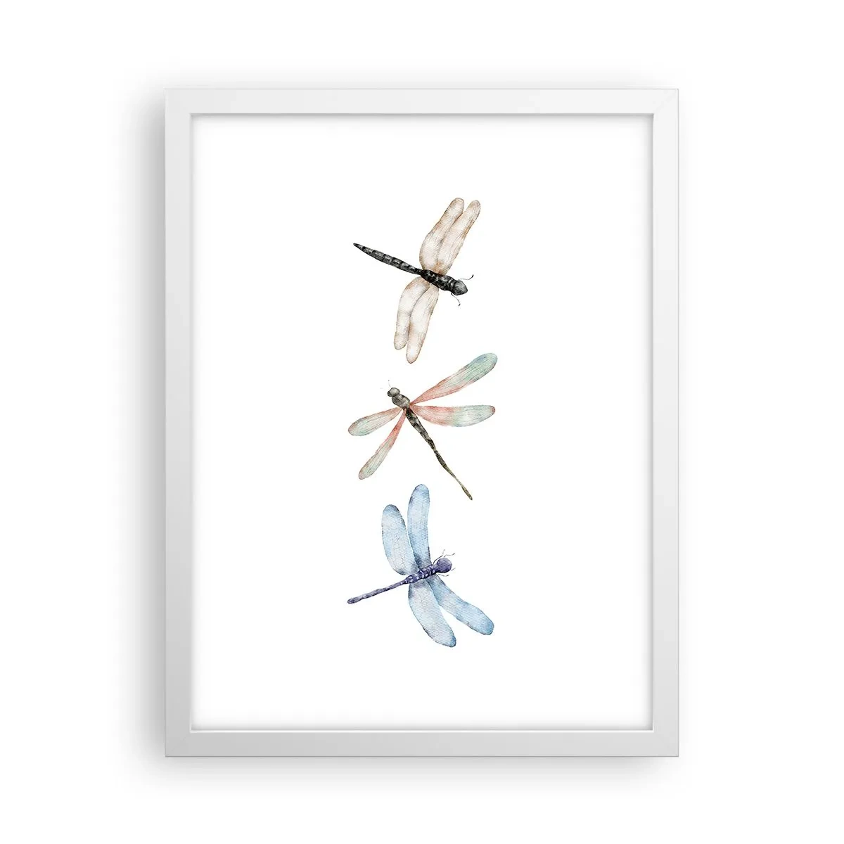 Poster in cornice bianca - Libellule senza peso - 30x40 cm