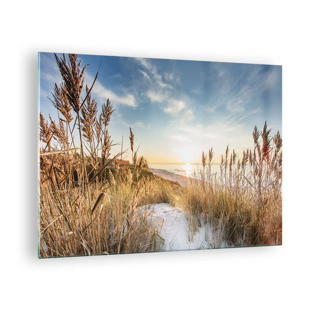 Quadro su vetro - Tramonto su una spiaggia con dune ricoperte d'erba - 70x50cm - Spiaggia del nord - Decorazione murale moderna per soggiorno e camera da letto ARTTOR