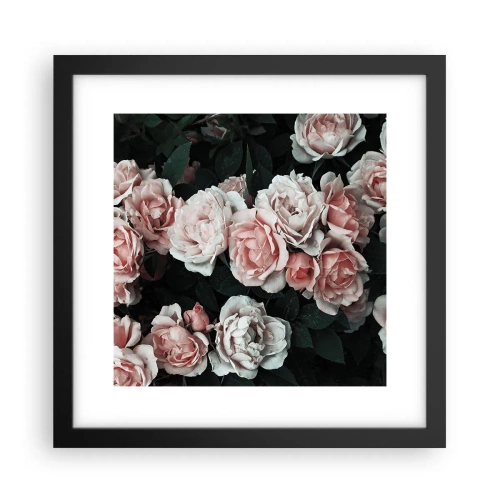 Poster in cornice nera - Composizione di rose - 30x30 cm