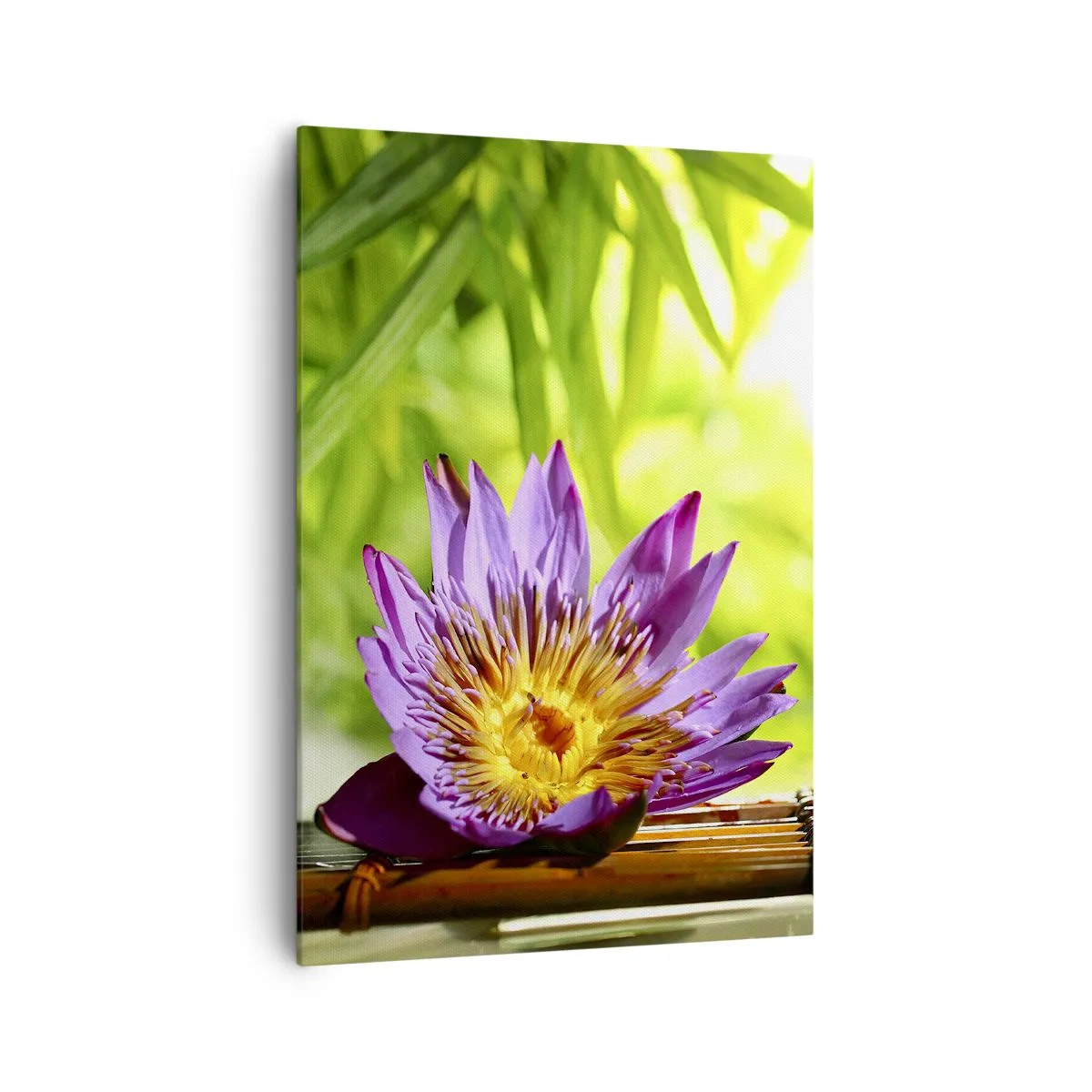 Quadro su tela - Stampe su Tela - Fiore di loto viola su uno sfondo di foglie di bambù verdi - 70x100cm - Al sole dell'Asia - Decorazione murale moderna per soggiorno e camera da letto ARTTOR