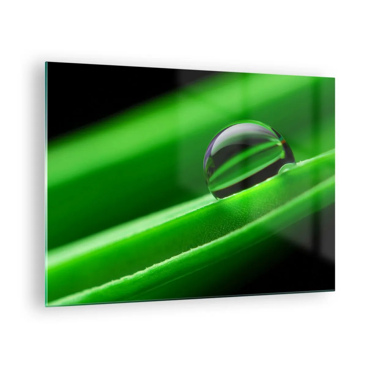 Quadro su vetro - Una goccia di rugiada su una foglia verde - 70x50cm - La vita da vicino - Decorazione murale moderna per soggiorno e camera da letto ARTTOR