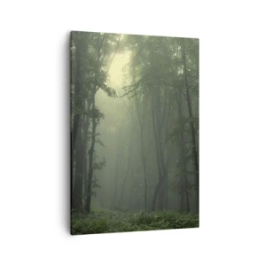 Quadro su tela - Stampe su Tela - Una foresta verde al mattino avvolta in una delicata nebbia - 50x70cm - Prima che si svegli - Decorazione murale moderna per soggiorno e camera da letto ARTTOR