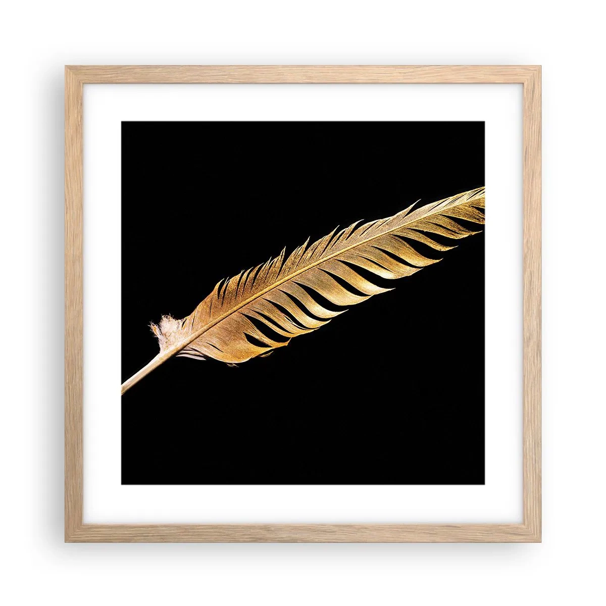 Poster in cornice rovere chiaro - Non una piuma qualsiasi.... - 40x40 cm