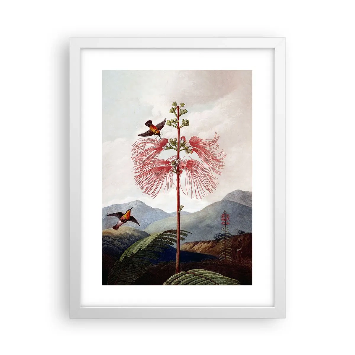 Poster in cornice bianca - Nel paradiso tropicale - 30x40 cm