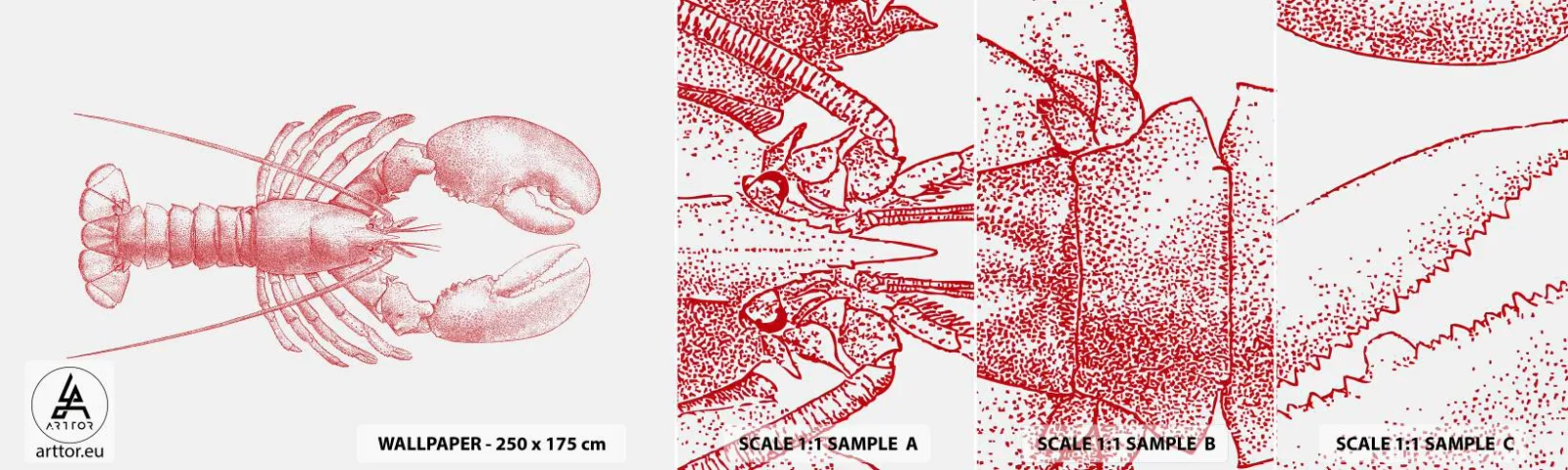 Campione di Fotomurale Adesivo Deluxe Sticker - Aragosta d'agosto - Aragosta, Frutti di mare, Crostacei - 100x30 cm