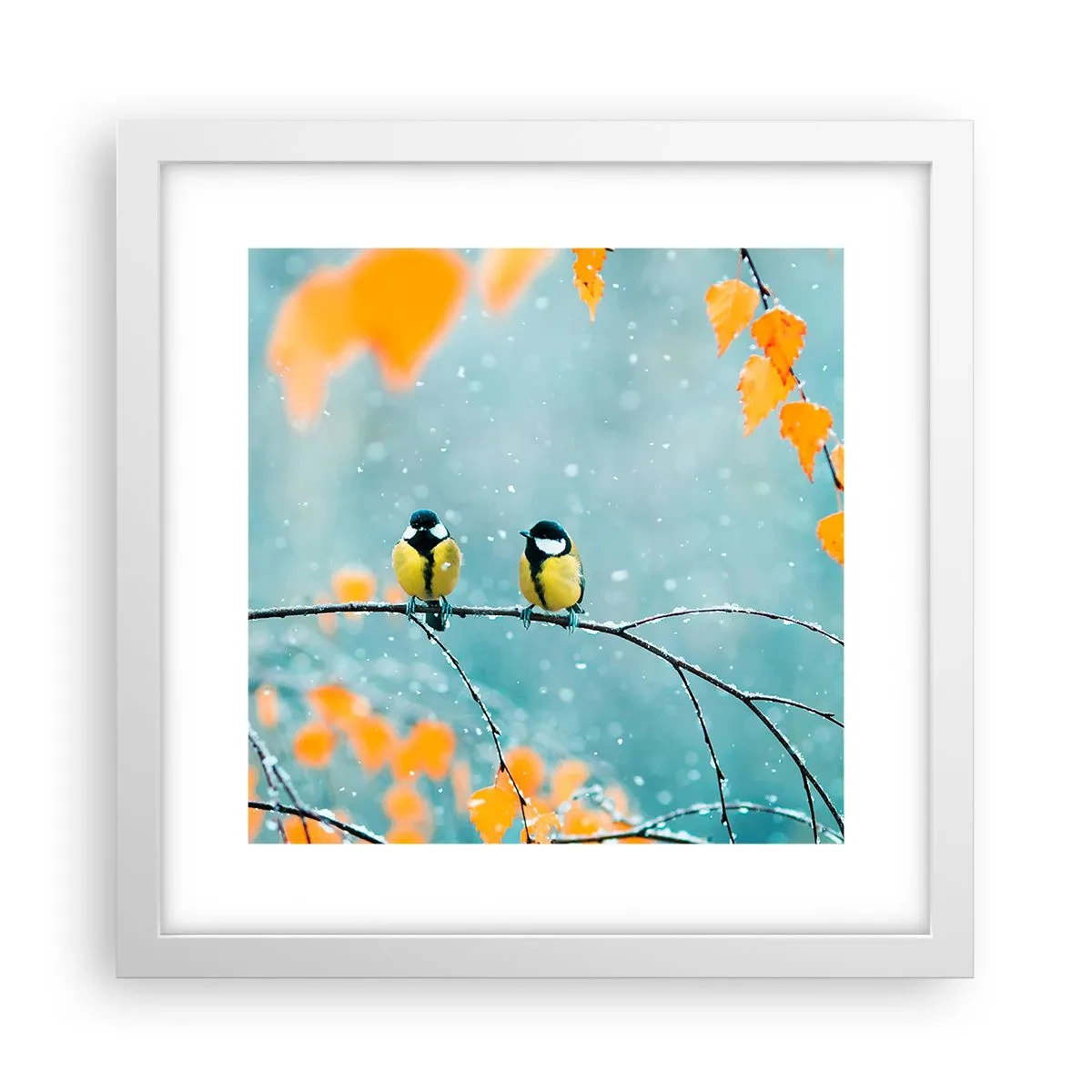 Poster in cornice bianca - Pettegolezzi alati - 30x30 cm