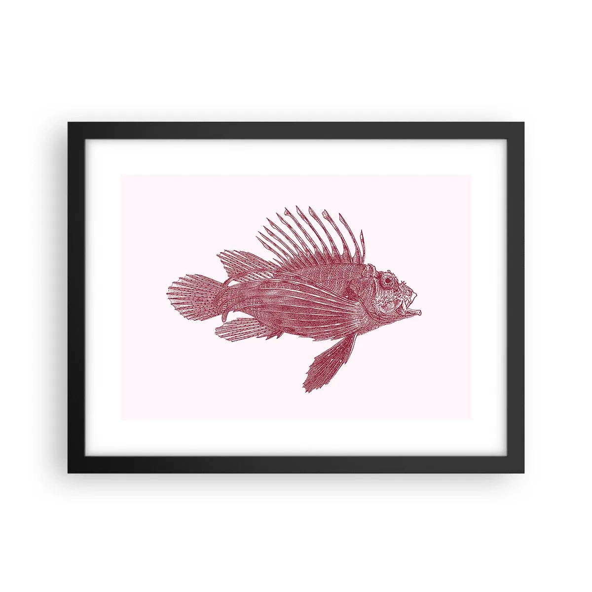Poster in cornice nera - Abitante di mari esotici - 40x30 cm