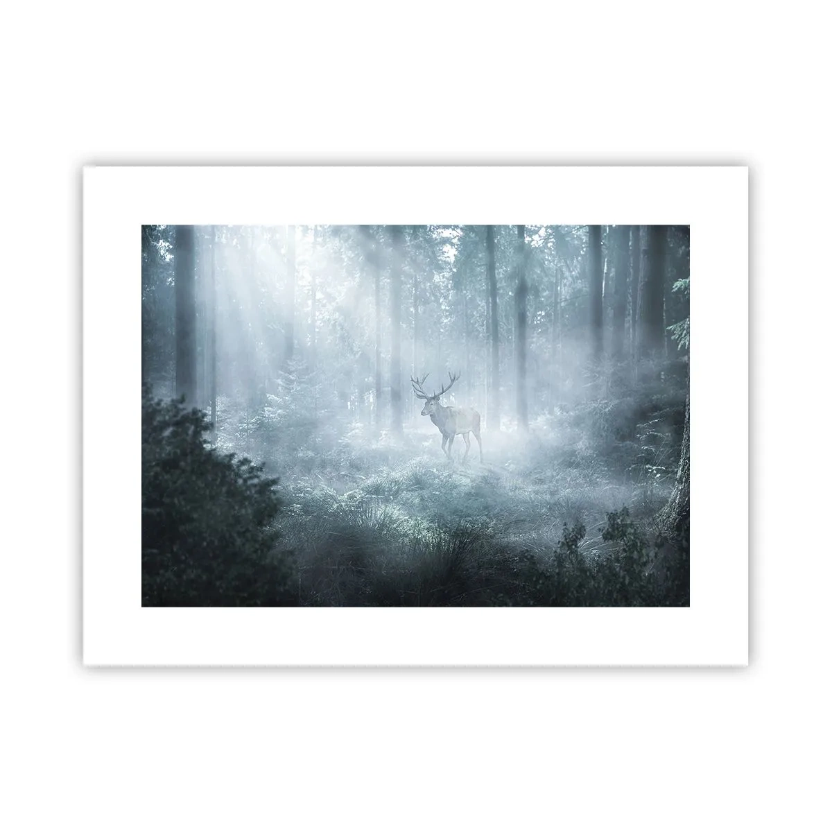 Poster - Passeggiata mattutina sulle sue terre - 40x30 cm