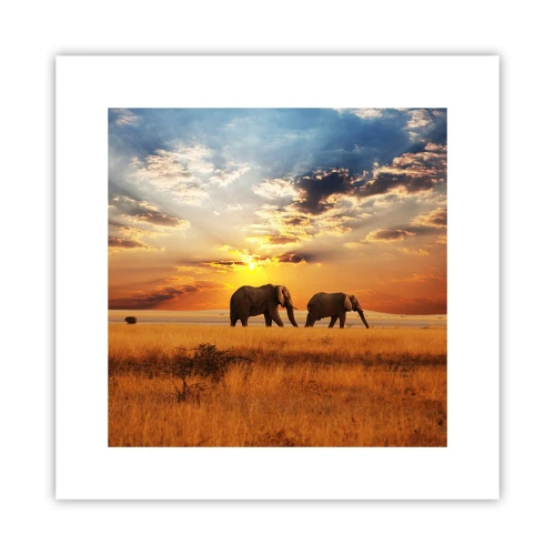 Poster - Passeggiata familiare - 30x30 cm