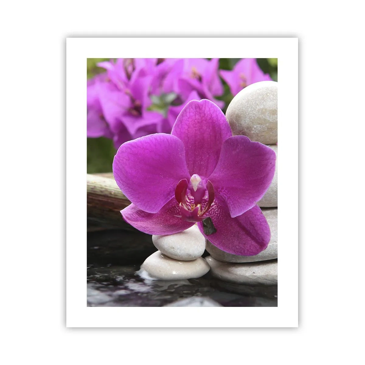 Poster - E già ti riposi - 40x50 cm