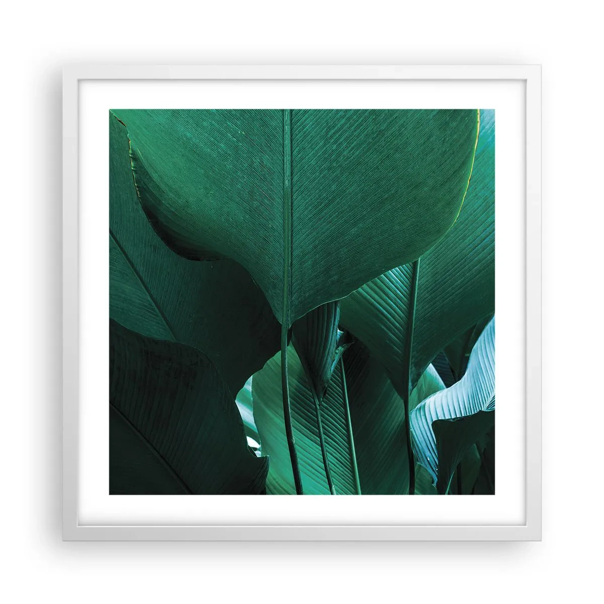 Poster in cornice bianca - Verso la luce - 50x50 cm