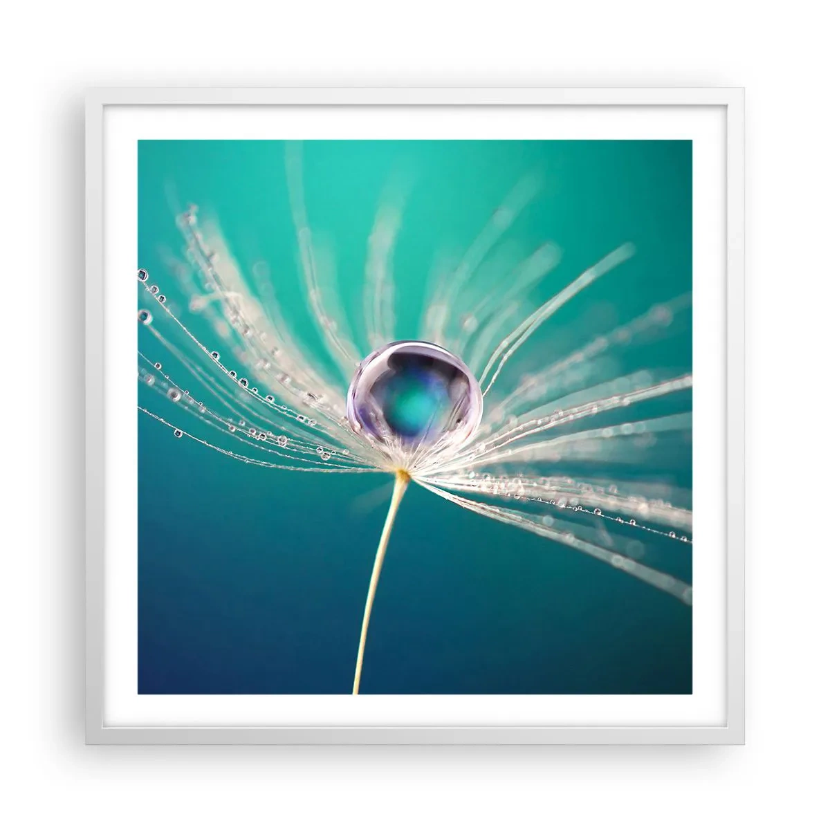 Poster in cornice bianca - Attimo mistico - 60x60 cm