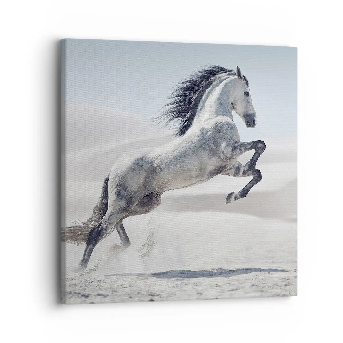 Quadro su tela - Stampe su Tela - Il principe arabo - 30x30 cm