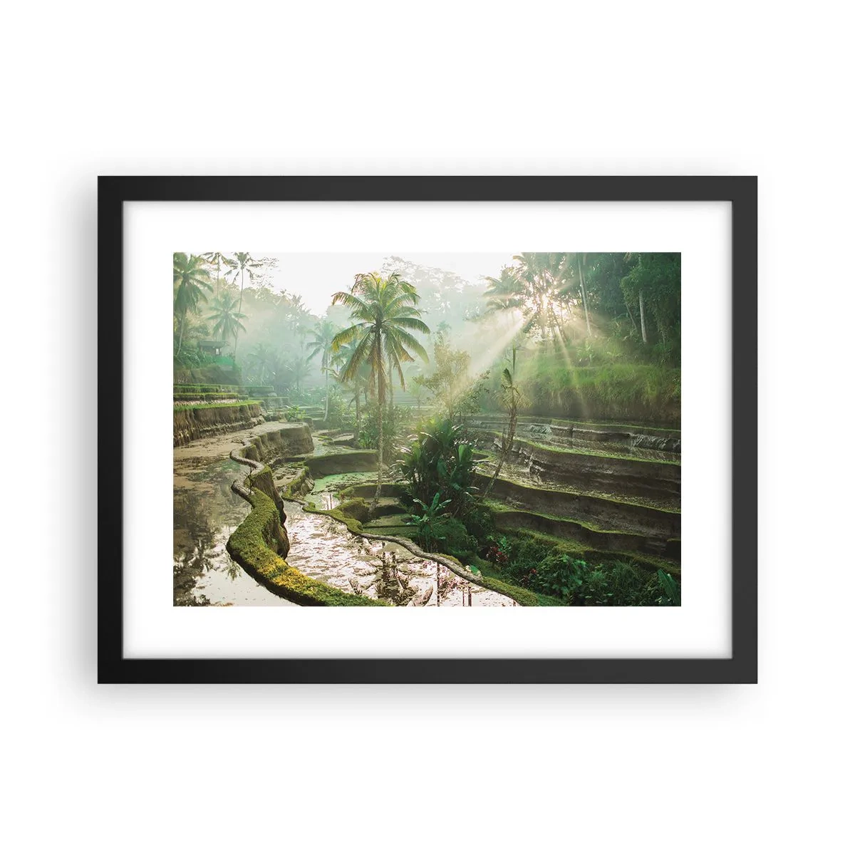 Poster in cornice nera - Crescere al sole - 40x30 cm