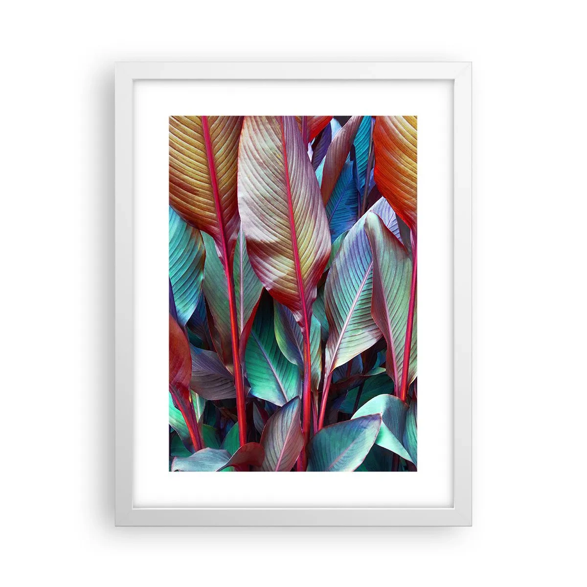 Poster in cornice bianca - Selva colorata - 30x40 cm