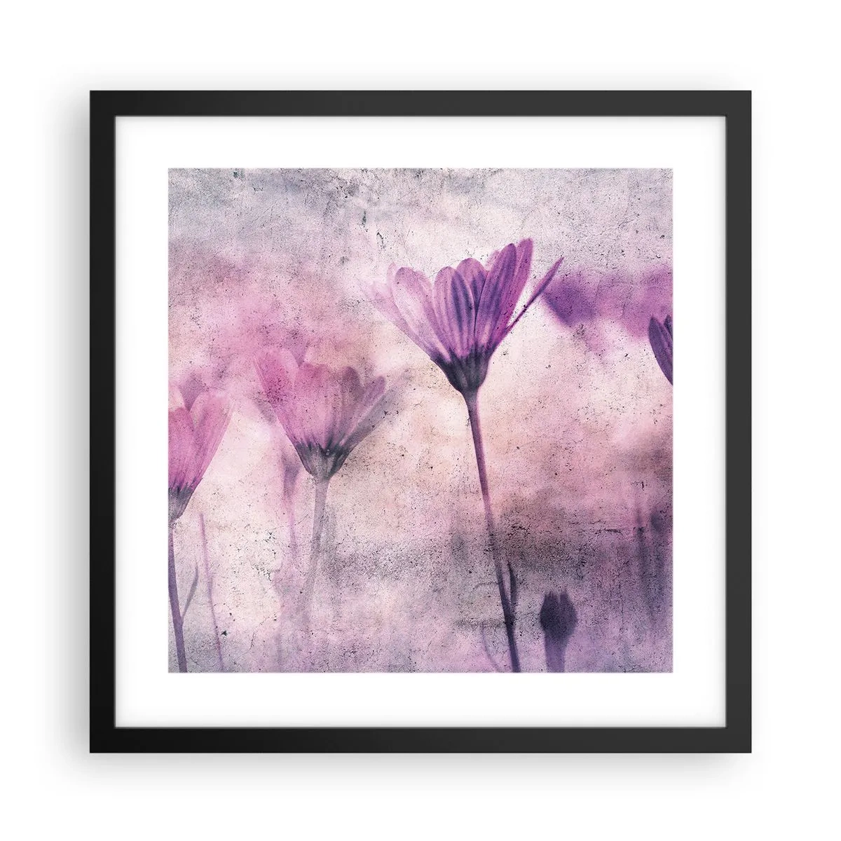 Poster in cornice nera - Il sogno dei fiori - 40x40 cm