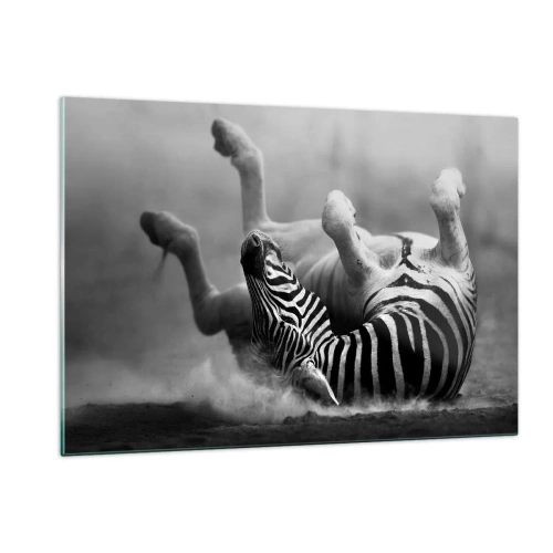 Quadro su vetro - Una zebra sdraiata nella savana africana - 120x80cm - Morire dal ridere - Decorazione murale moderna per soggiorno e camera da letto ARTTOR