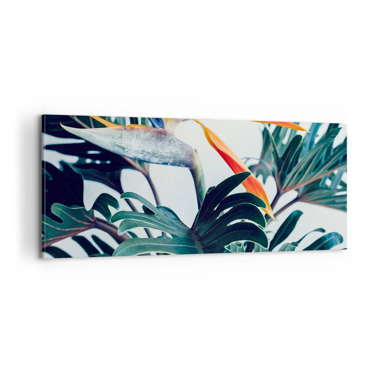 Quadro su tela - Stampe su Tela - Pianta uccello - 100x40 cm