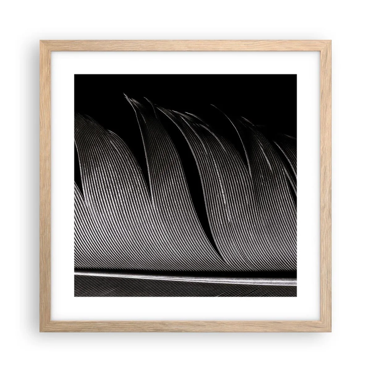 Poster in cornice rovere chiaro - Piuma: struttura meravigliosa - 40x40 cm