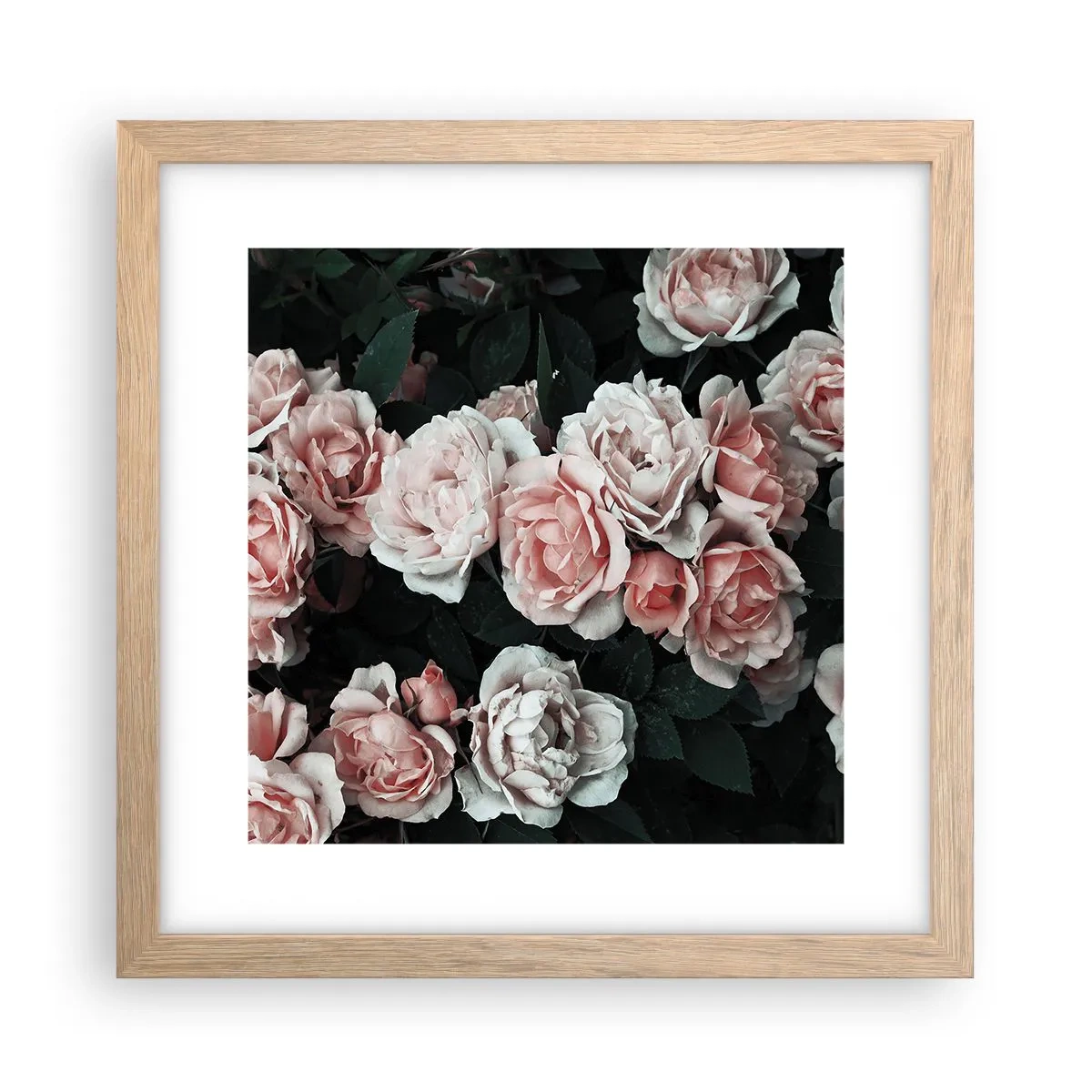 Poster in cornice rovere chiaro - Composizione di rose - 30x30 cm