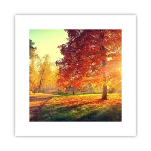 Poster - Rosso è bello - 30x30 cm